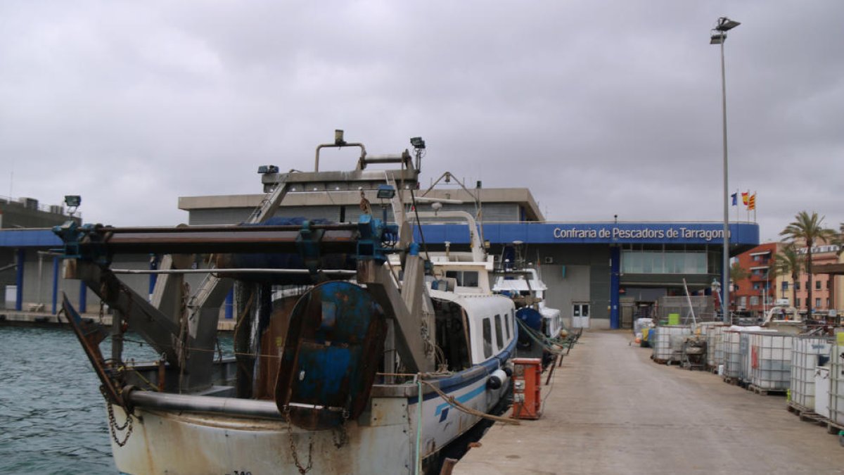 Embarcaciones de la Cofradía de Pescadores de Tarragona amarradas en el puerto en el segundo día de huelga.