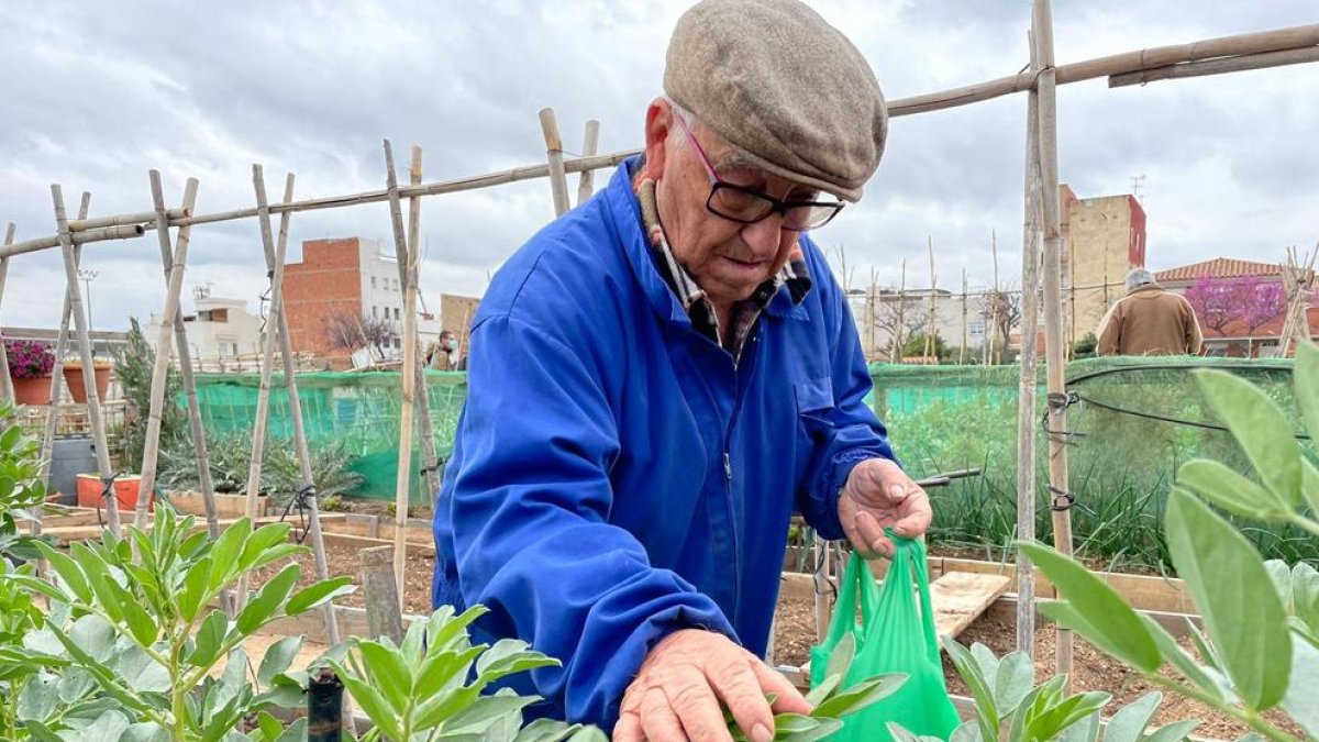 Un dels adjudicataris d'un hort urbà a Sol i Vista.