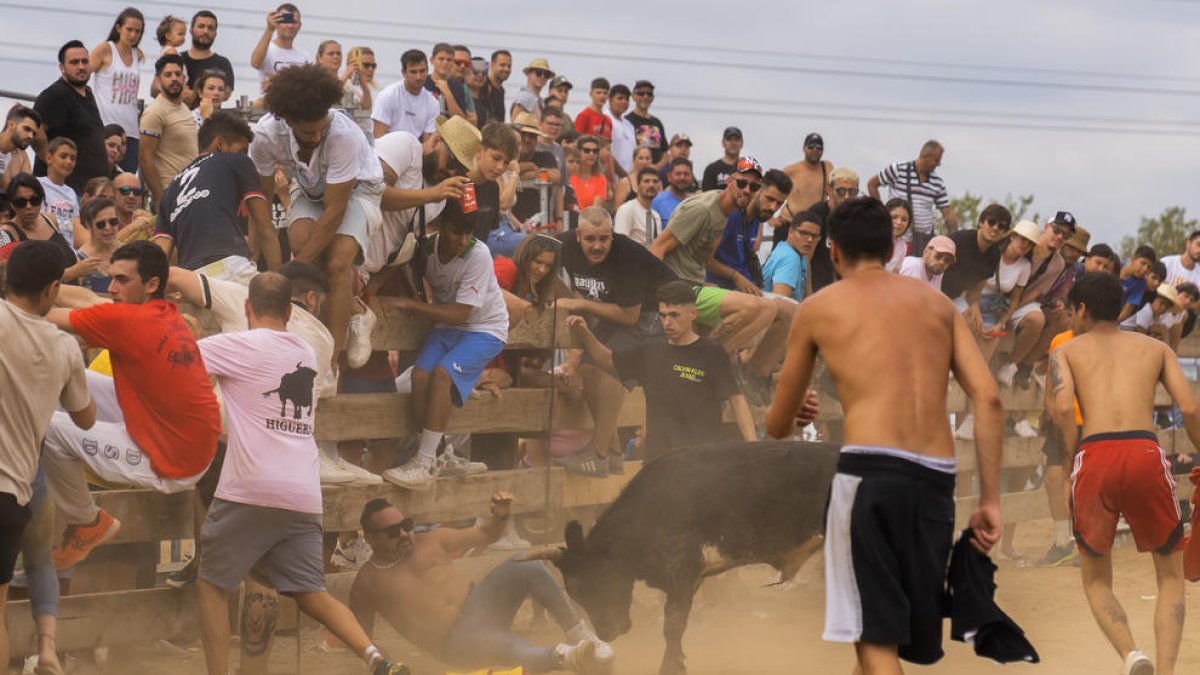 La tienta de vaquillas se hizo en la calle de Pompeu Fabra.