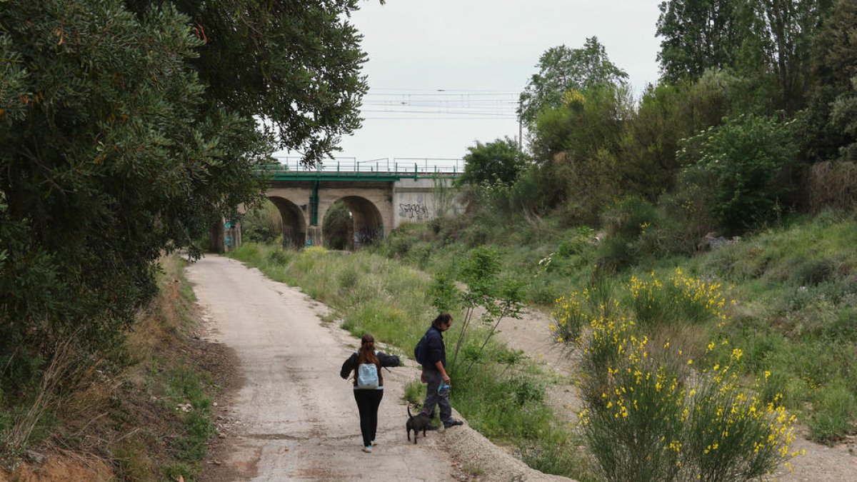 El projecte traça sobre el mapa de Reus una xarxa d'espais lliures i naturals en forma de lletra V.