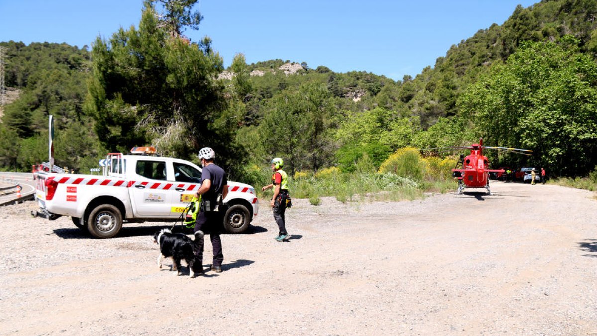 Efectius dels Bombers treballant en el punt on s'ha precipitat un vehicle a Pradell.