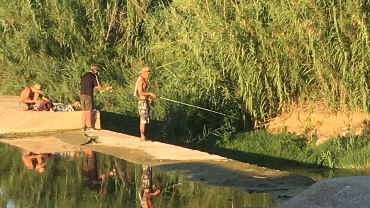 Diverses persones amb canya pescant el riu.