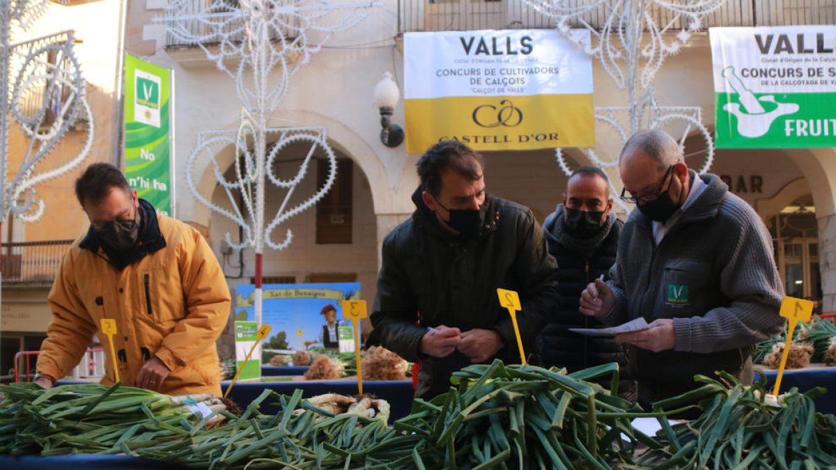 El jurat del concurs de cultivadors.