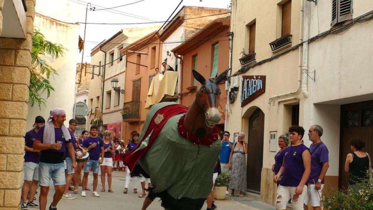 Imatge de la Mulassa dels Pallaresos.