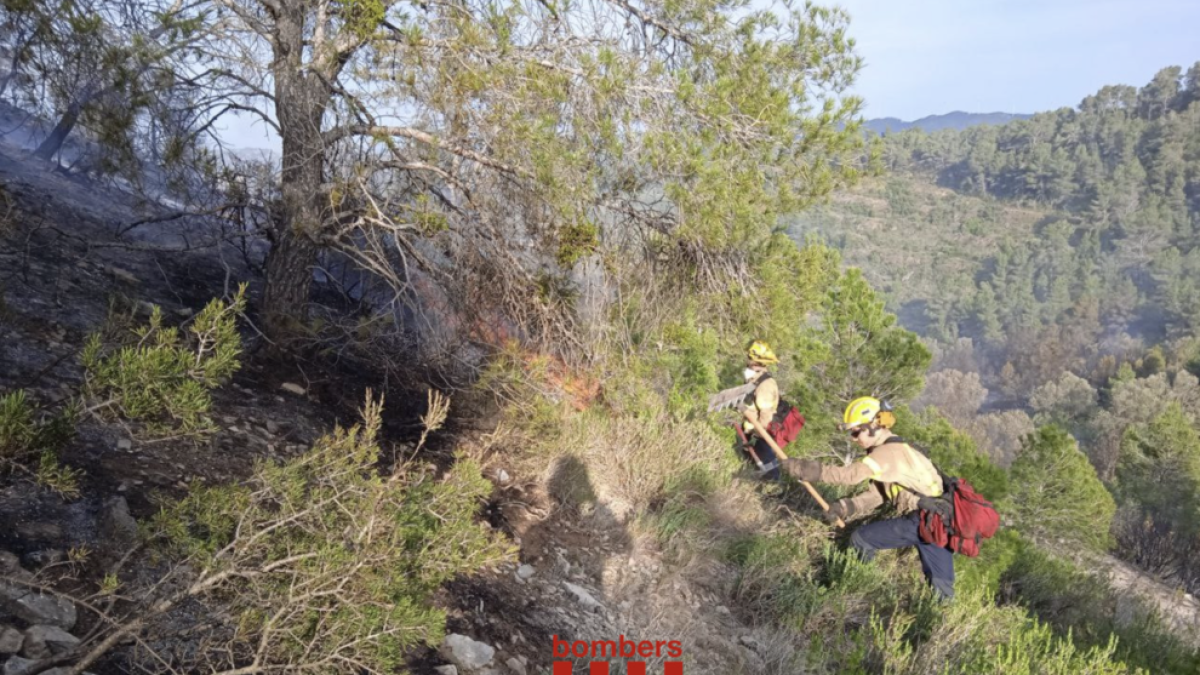 Imatge dels Bombers a l'incendi forestal d'Ascó.