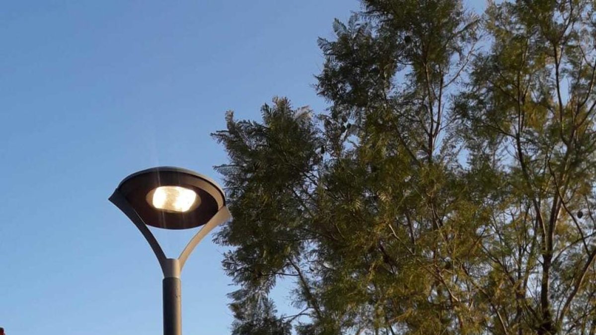 Las farolas de dos calles de Parcel·les Cases, ayer, a primera hora de la tarde.