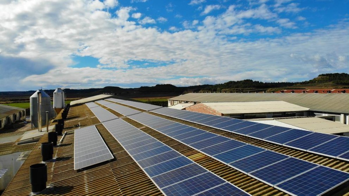 Plano general de placas solares instaladas en el tejado de una granja, en una imagen de archivo.