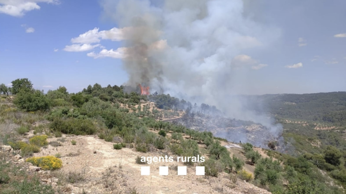 Incendi forestal a la Serra de la Llena, a la pobla de Cérvoles.