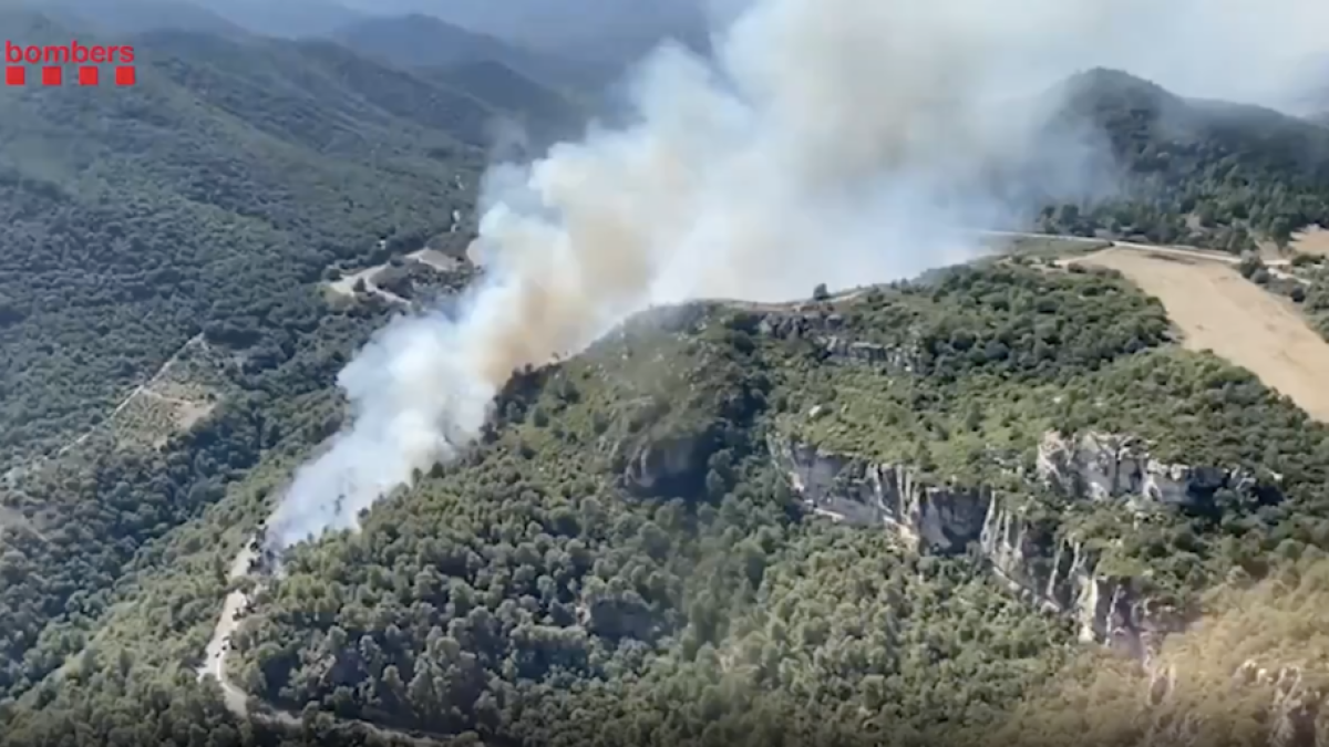 Imatge de l'incendi de vegetació pròxim a la C-242 a Alforja, al Baix Camp.