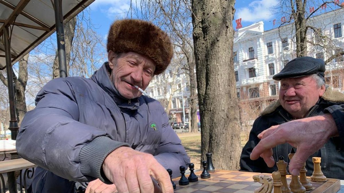 Avis ucrainesos jugant a escacs en un parc d'Odessa.