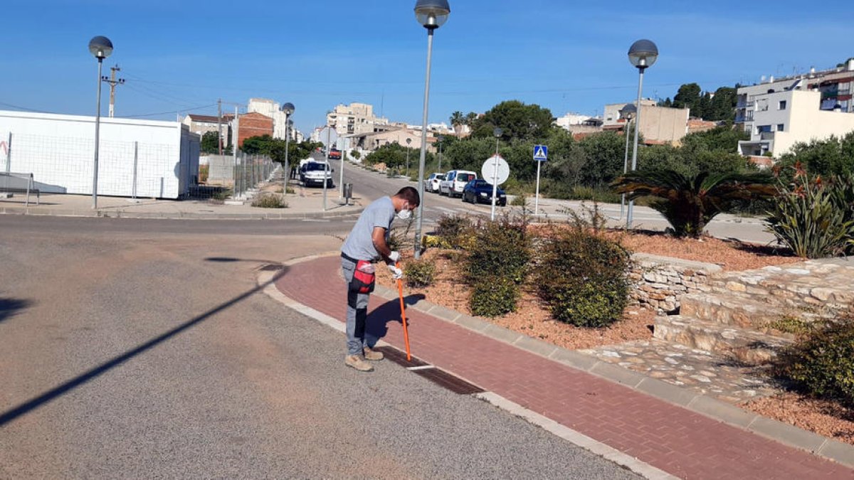 Imatge d'arxiu d'un tècnic fent controls de mosquits  als embornals d'Alcanar.