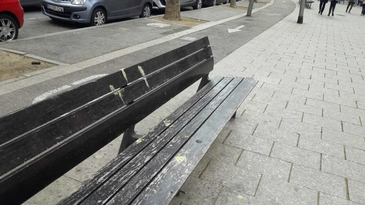 Alguns bancs del passeig Prim bruts d'excrements d'ocells, diumenge passat.