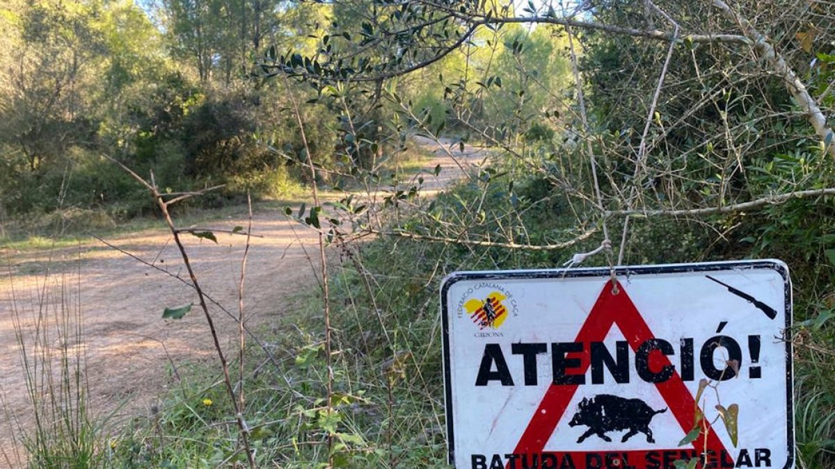 Un cartel que alerta de una batida de jabalí en una zona boscosa del parque natural del Montgrí.