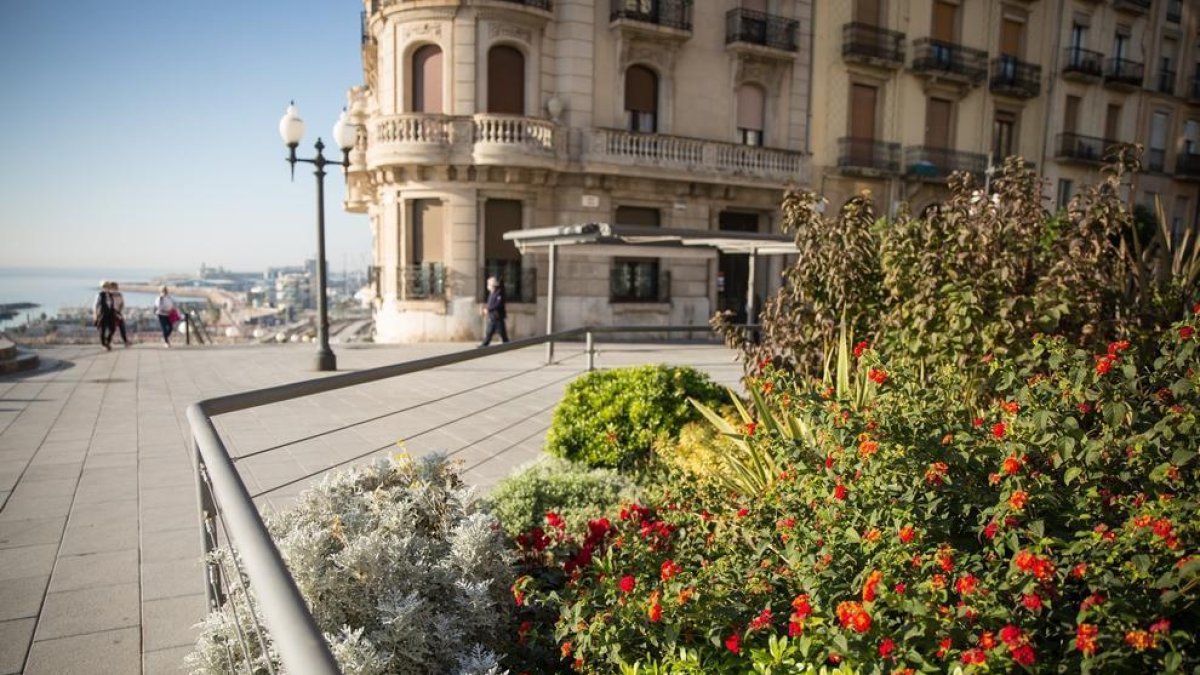 Imatge de flors a la ciutat de Tarragona.