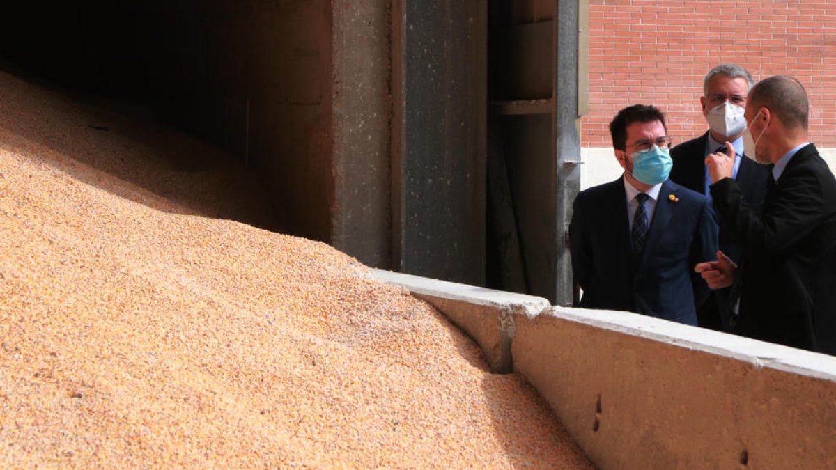 El presidente de la Generalitat, Pere Aragonès, en el almacén de Ership del Port de Tarragona.