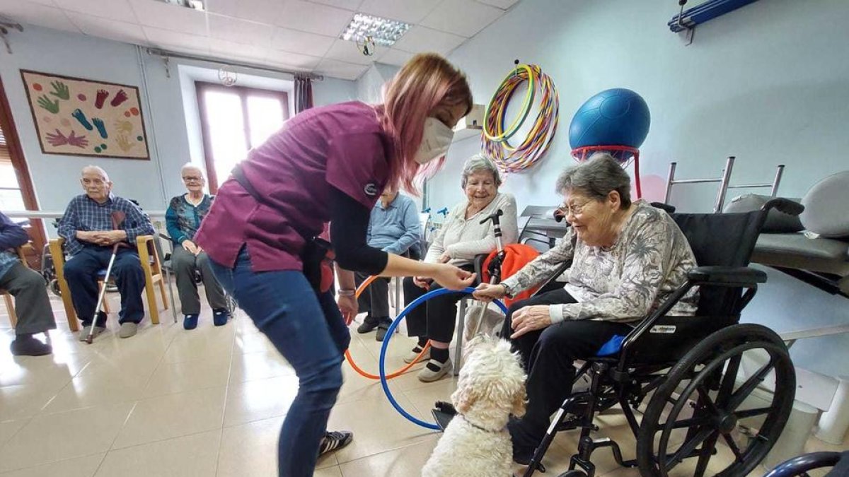 Imatge d'una residència amb la teràpia amb gossos.