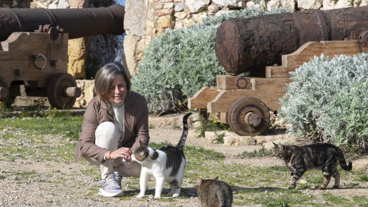 Imatge de la consellera de Benestar Animal, Elvira Vidal.