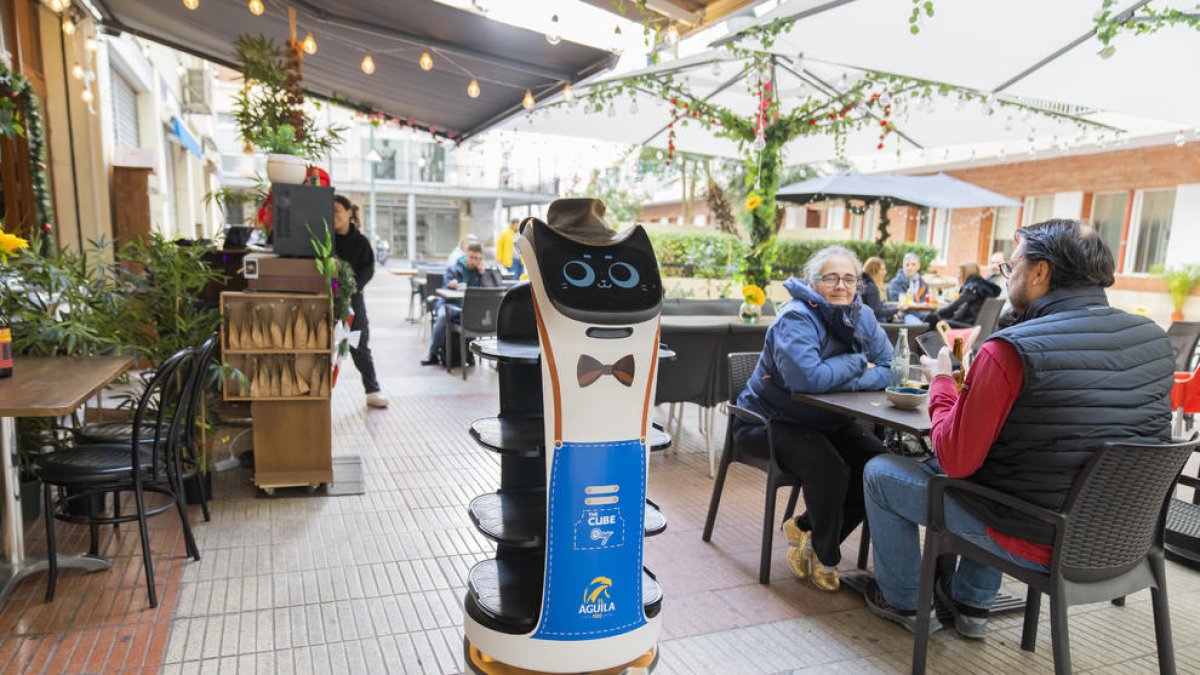 En Michi és el robot que ajuda la plantilla de The Cube Day, al carrer dels Castellers de Tarragona.