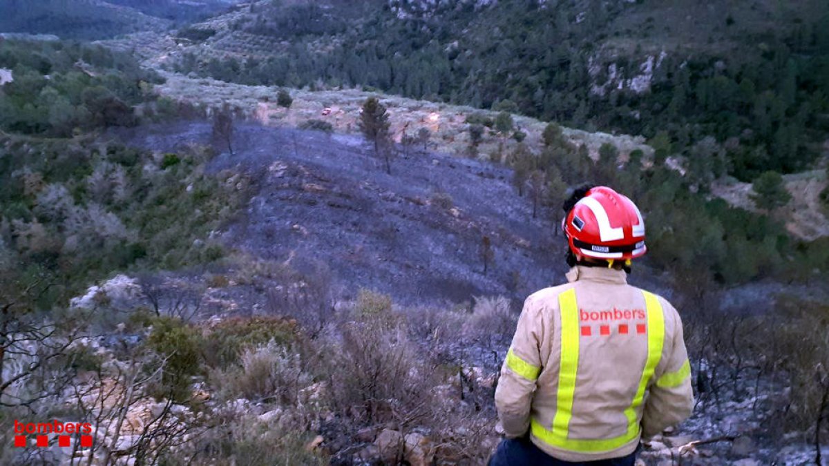 Un bombero observa la zona calcinada al barranco de *Povet, al término municipal de Tortosa.