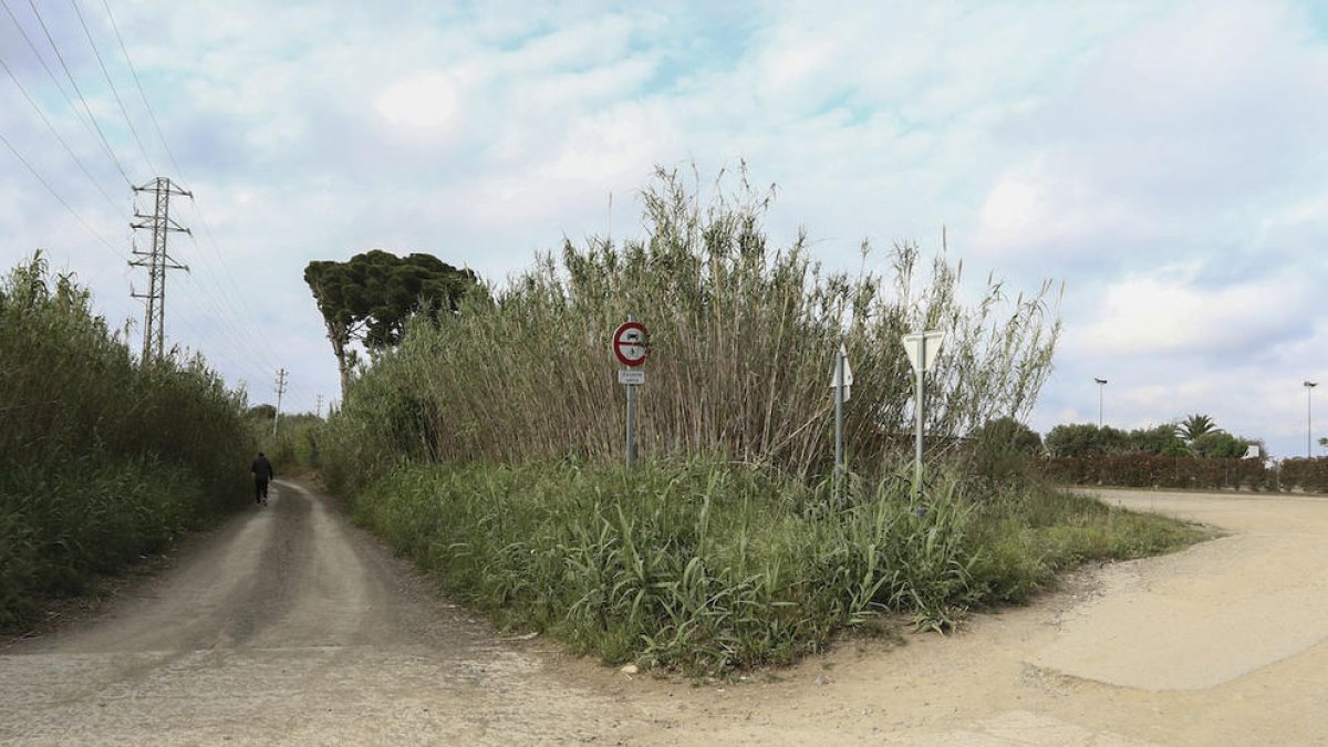 Imatge de la zona de la riera de l'Abeurada, on s'instal·laran mobiliari urbà i senyalitzacions.