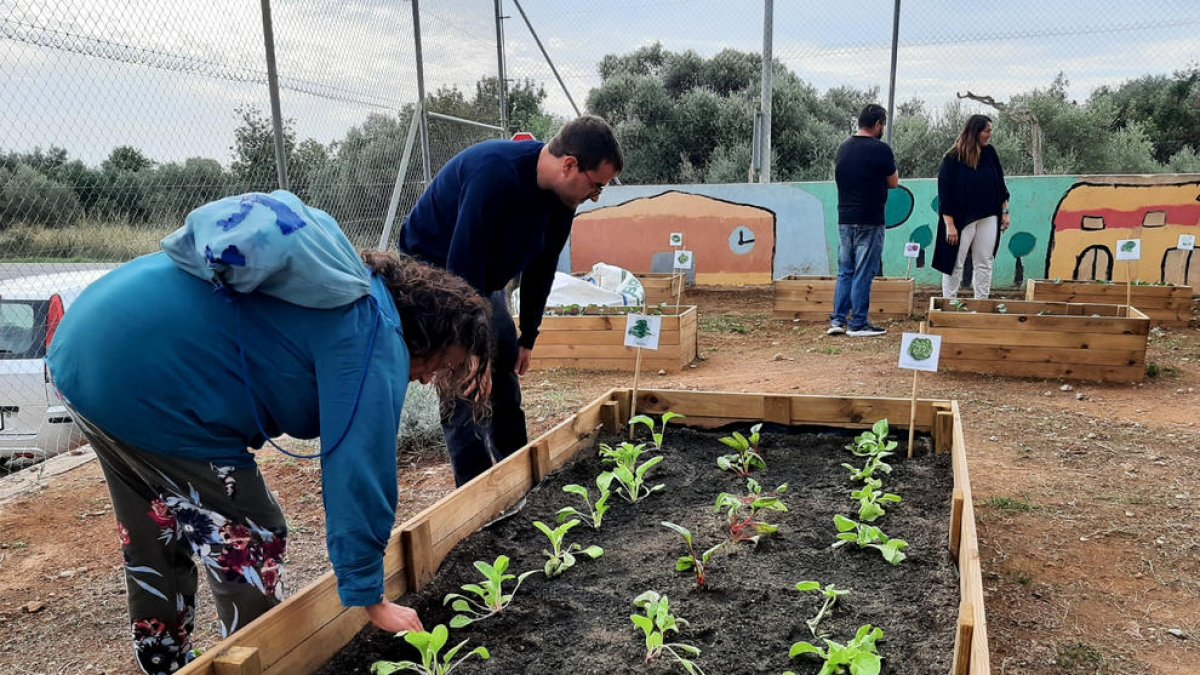 Usuarios de la Fundación Pere Mata participando en la rehabilitación del patio de la escuela Joan Baptista Serra de Alcanar.