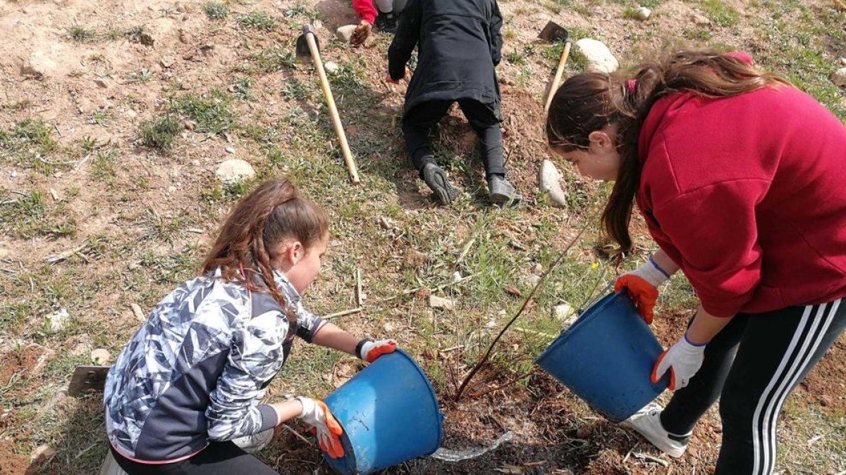 Dos chicas durante la plantación.