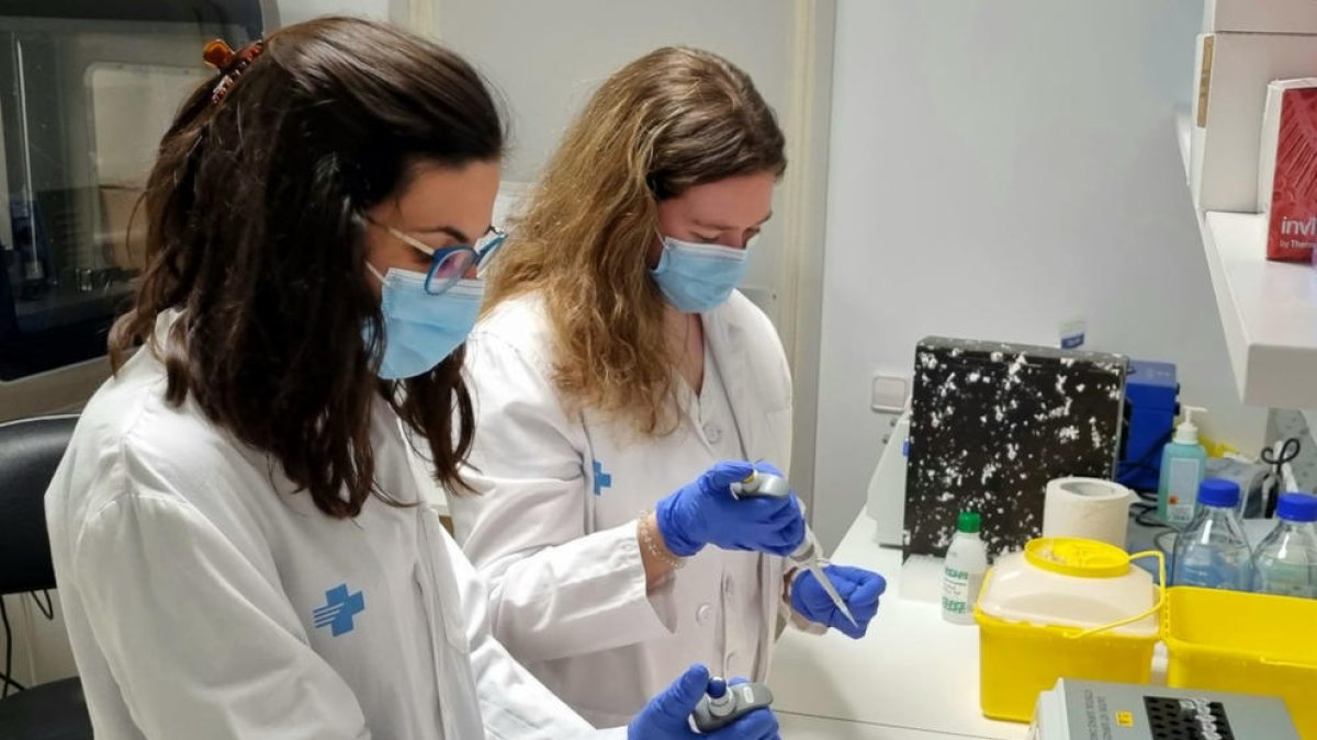 Las investigadoras posdoctorales ebrenses Laia Reverté Calvet y Noèlia Gallardo Borràs, trabajando en la investigación del cáncer de mama del proyecto Emma.