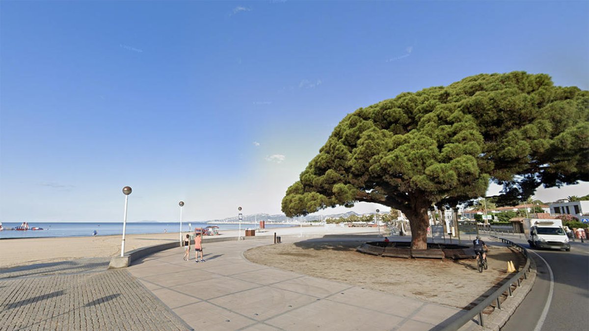 La festa se celebrarà a la platja del Regueal.