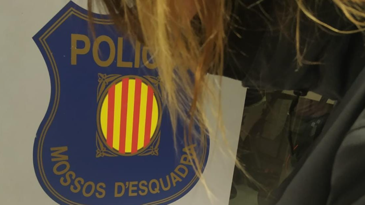 El arma decomisada por los Mossos en un bar en los Pallaresos.