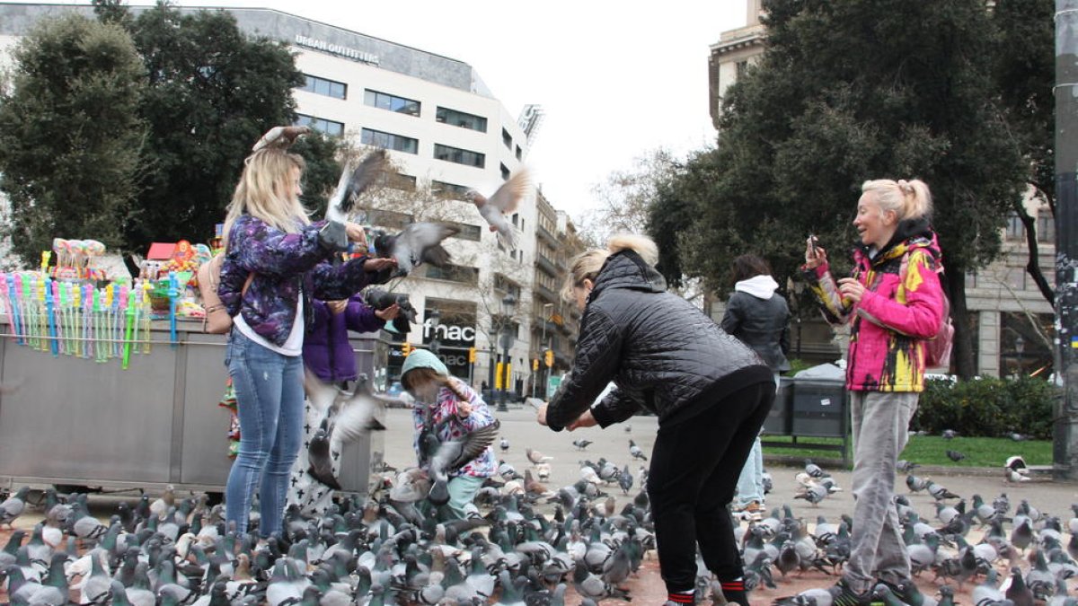 Unes turistes interactuen amb els coloms de Plaça Catalunya mentre es fan fotos.