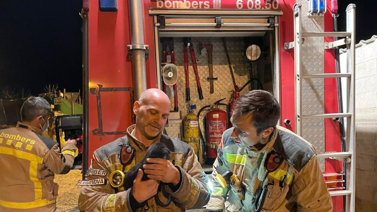 Los bomberos con el perro. Revolución Pata destaca la actuación y la sensibilidad del cuerpo durante el rescate.