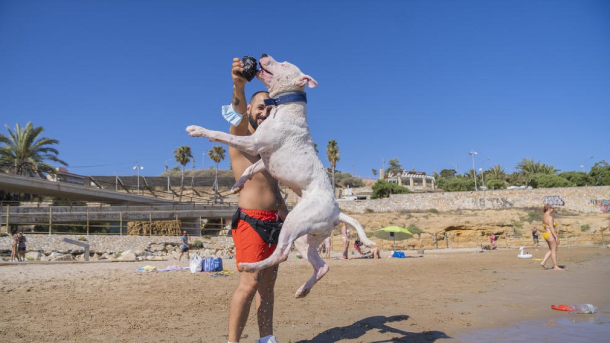 Imatge d'arxiu d'un propietari jugant amb el seu gos a la platja del Miracle de Tarragona un dia de l'estiu passat.