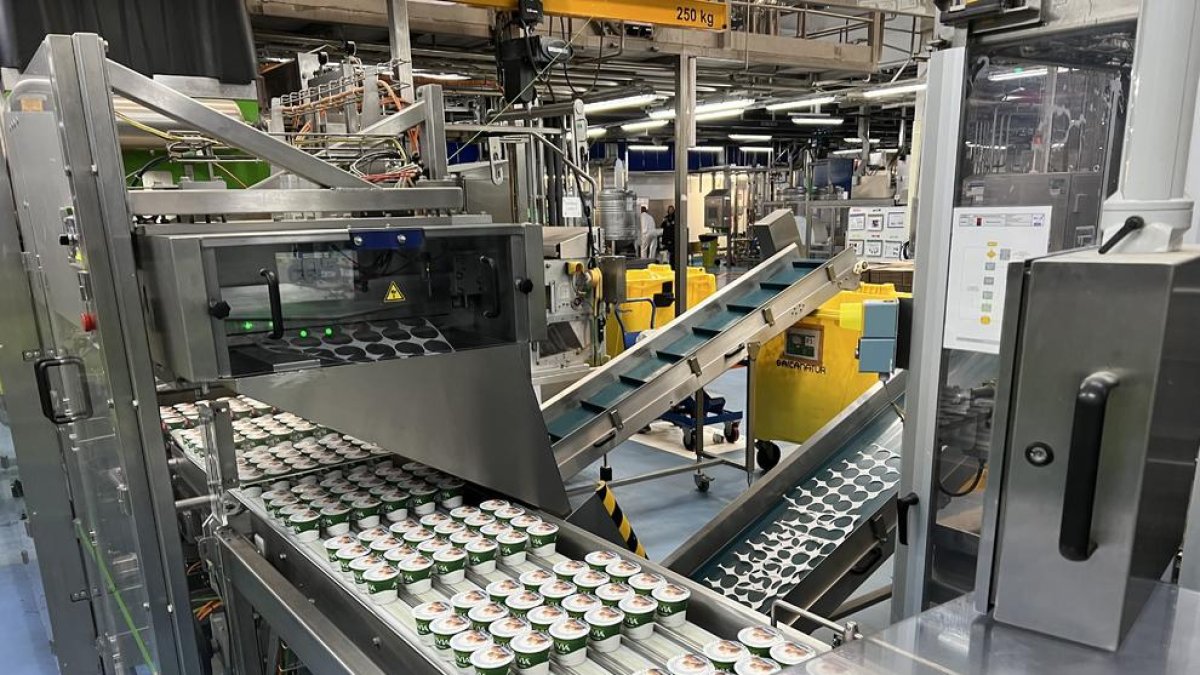 La línea de producción de Activia en la fábrica de Danone.