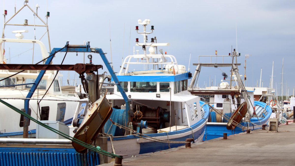 Vaixells de pesca amarrats al port de Vilanova i la Geltrú, on s'ha celebrat la reunió.