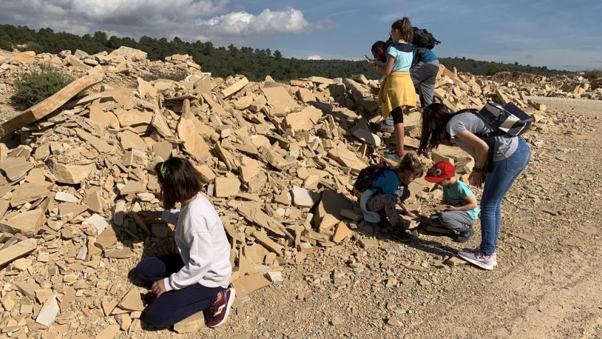 En la pedrera de Alcover-Mont-ral se han encontrado fósiles de animales del periodo Triàsico.