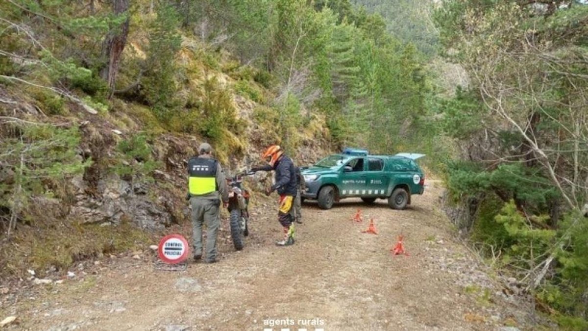 Imagen de archivo de un control de Agentes Rurales en un camino forestal.