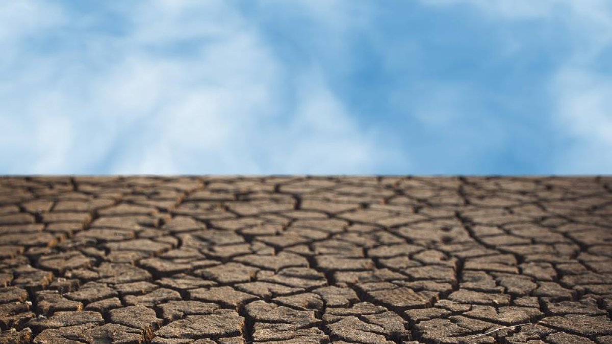 La URV s'encarregarà de comprovar el contingut i de fer-ne l'avaluació científica.