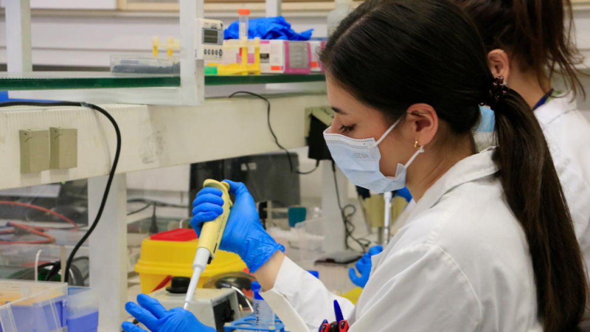 Una investigadora pipetea un reactivo en uno de los laboratorios del Vall d'Hebron Instituto de Investigación (VHIR).