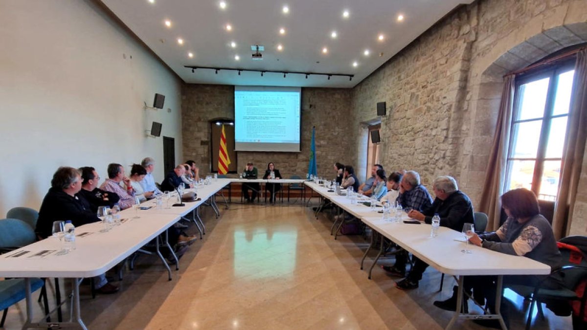 Consell d'alcaldes i alcaldesses de la Conca de Barberà.