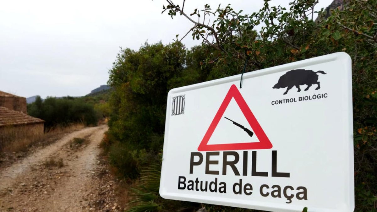 Cartells d'avís de batuda de porc senglar als camins d'accés a la zona afectada al Port.