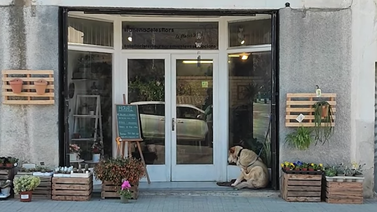 Exterior de la única floristería que existe en la comarca del Priorat.