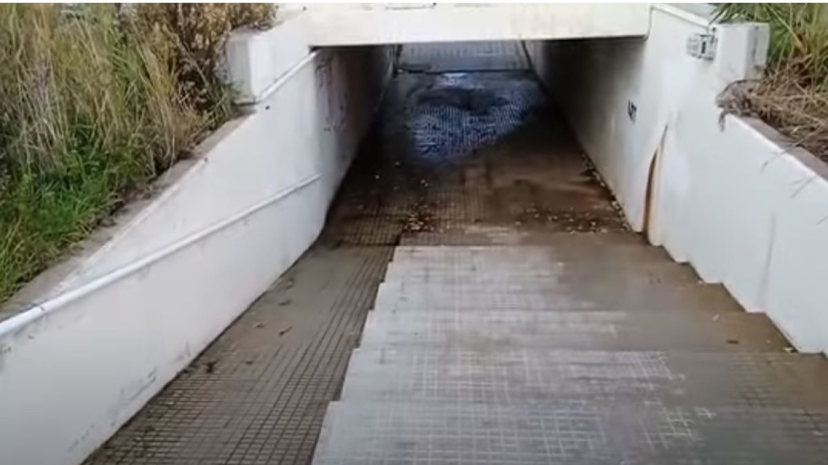 Imagen del vertido de agua.