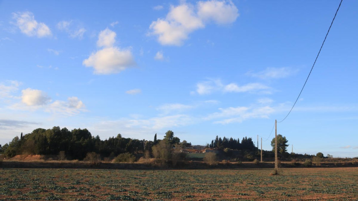 Terrenos donde se ubicará el futuro centro logístico de Bon Preu en Montblanc.