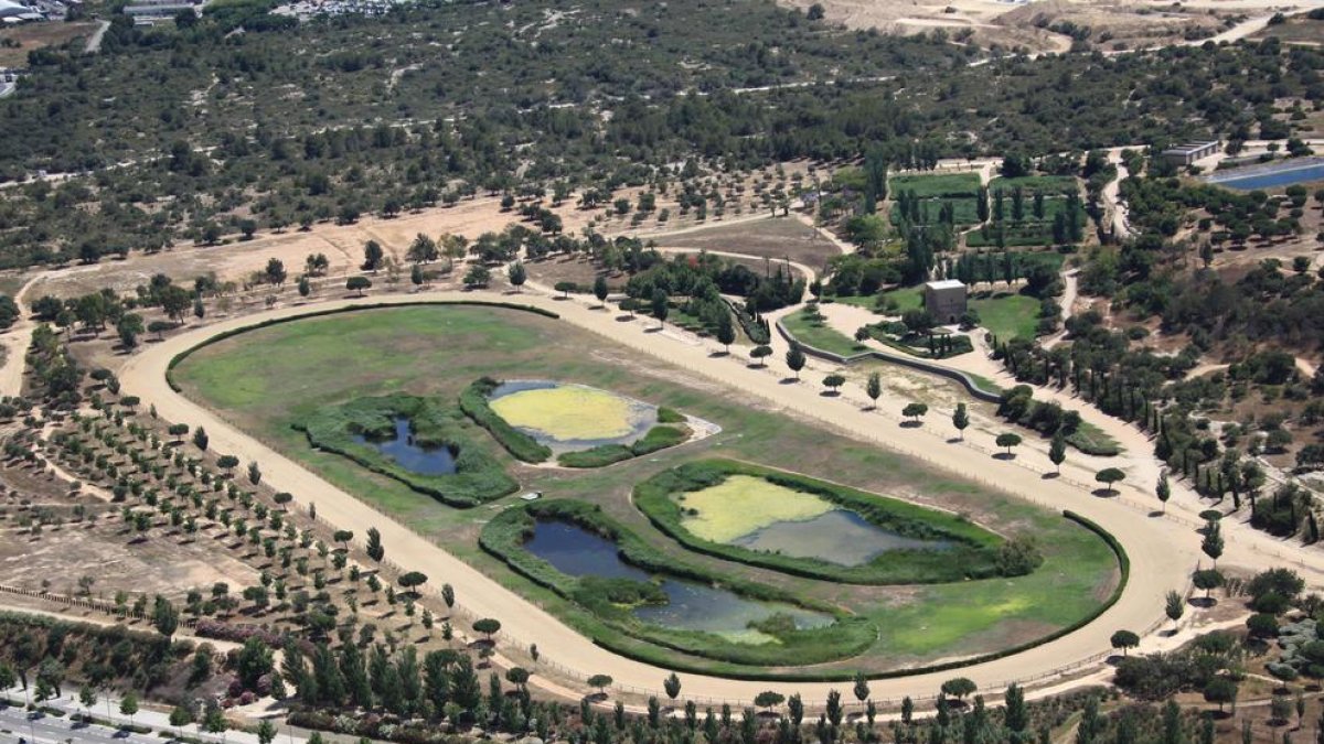 Vista aérea del Parque de la Torre de Dolça.