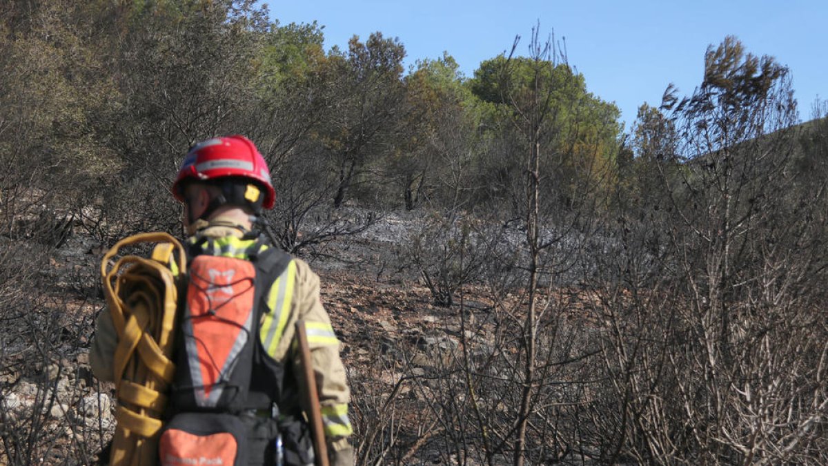 Un bomber repassa zones calcinades a l'incendi de Calafell.