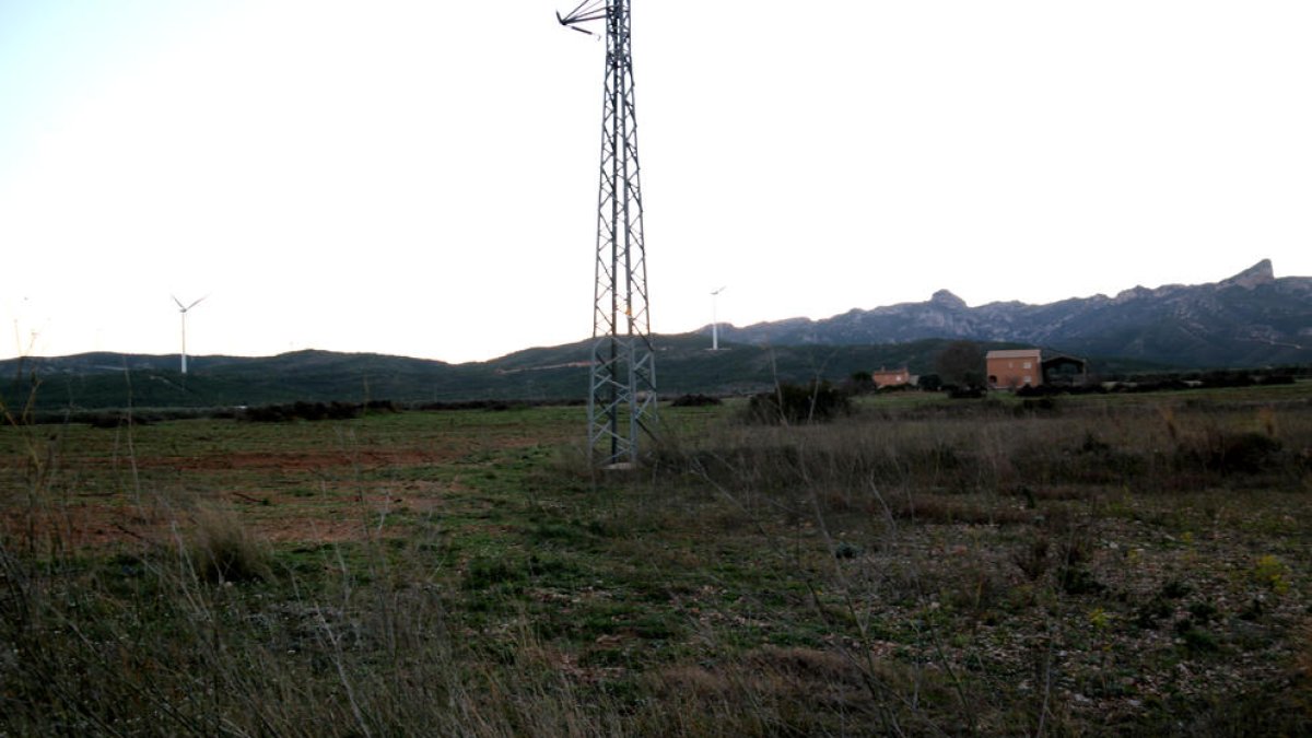 Finca agrícola entre el Perelló i Rasquera.