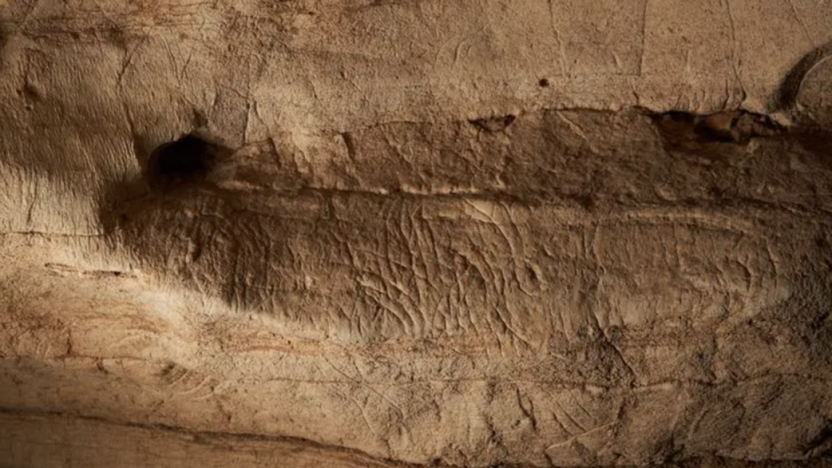 La Cova de la Vila, a la Febró, conserva un dels conjunts d'art postpaleolític més impotants de l'arc Mediterrani.