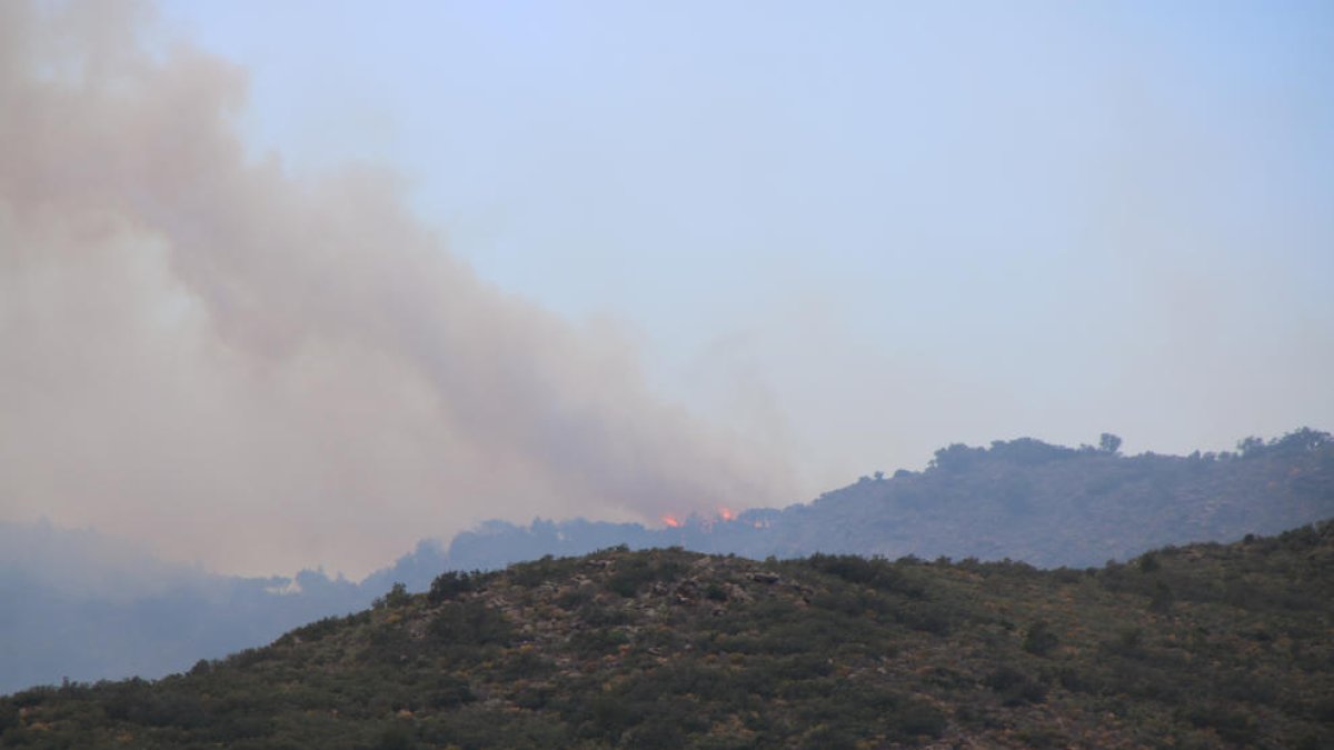 Les primeres flames de l'incendi originat a la Catalunya del Nord que entren a Portbou.