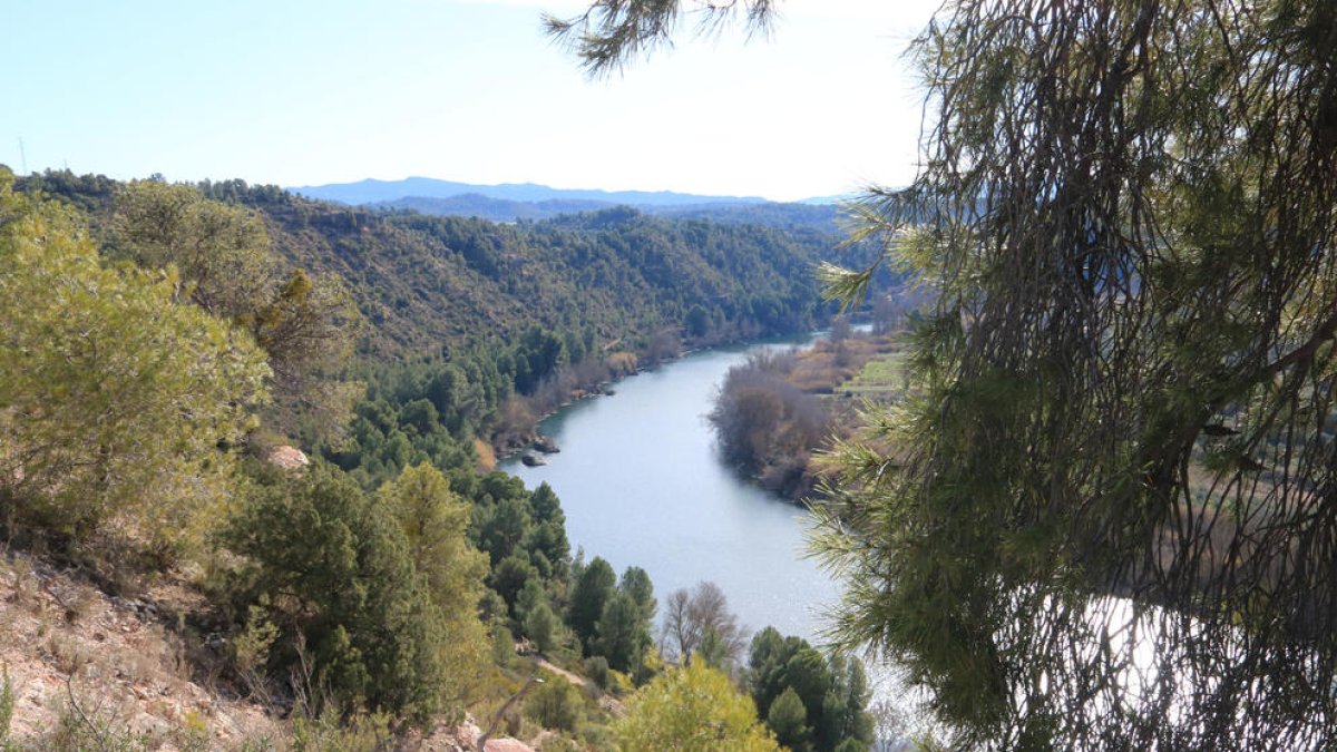 El meandro de Flix, donde se destinarán 2 millones de euros en actuación de restauración medioambiental para los próximos tres años.