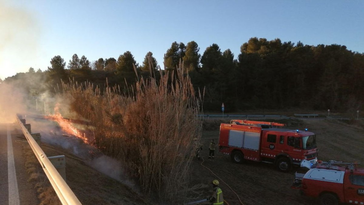 Els Bombers extingint l'incendi als marges de la carretera TP-2311.